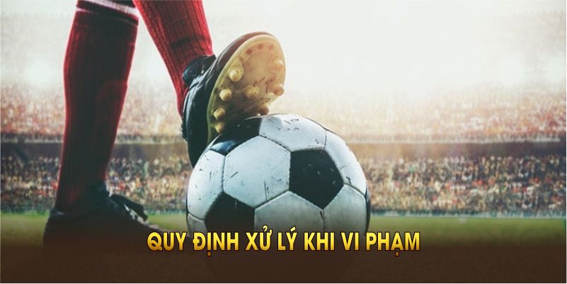 Quy định xử lý khi vi phạm điều khoản sử dụng BONGDASO