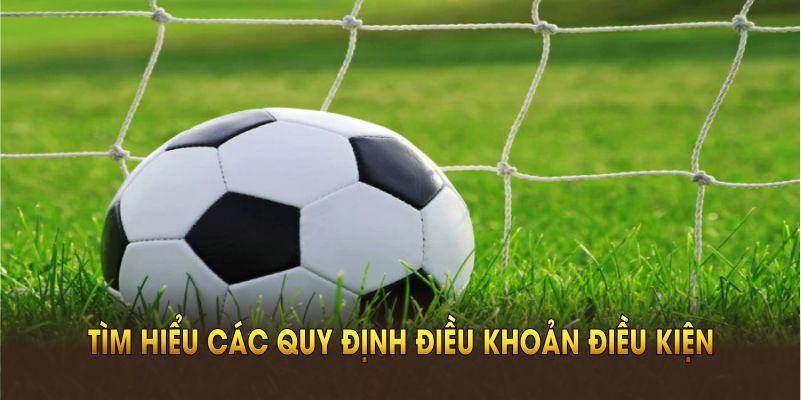 Tìm hiểu các quy định điều khoản sử dụng BONGDASO năm 2025